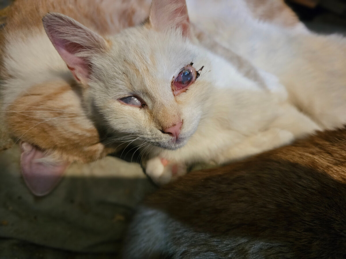 Фото автора. Новенькая.