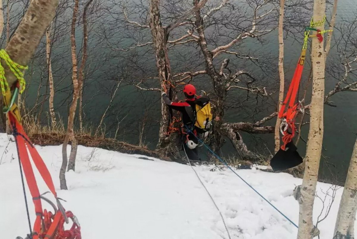 Никольская сопка Петропавловск Камчатский