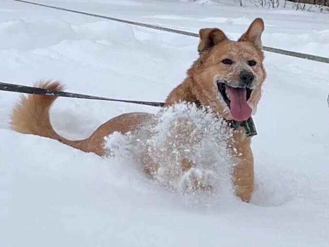 Крепкая, красивая, умная. Нахлебавшаяся жесткости от изуверов-нелюдей и оттаявшая среди хороших людей! 