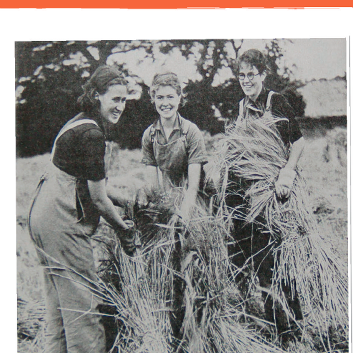  Три студентки Университета, помогающие в уборке урожая во время своих каникул (журнал SMT, октябрь 1940 года)