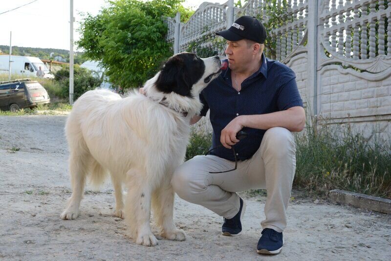 Кадр со съемок сериала «Бим. 2 сезон»