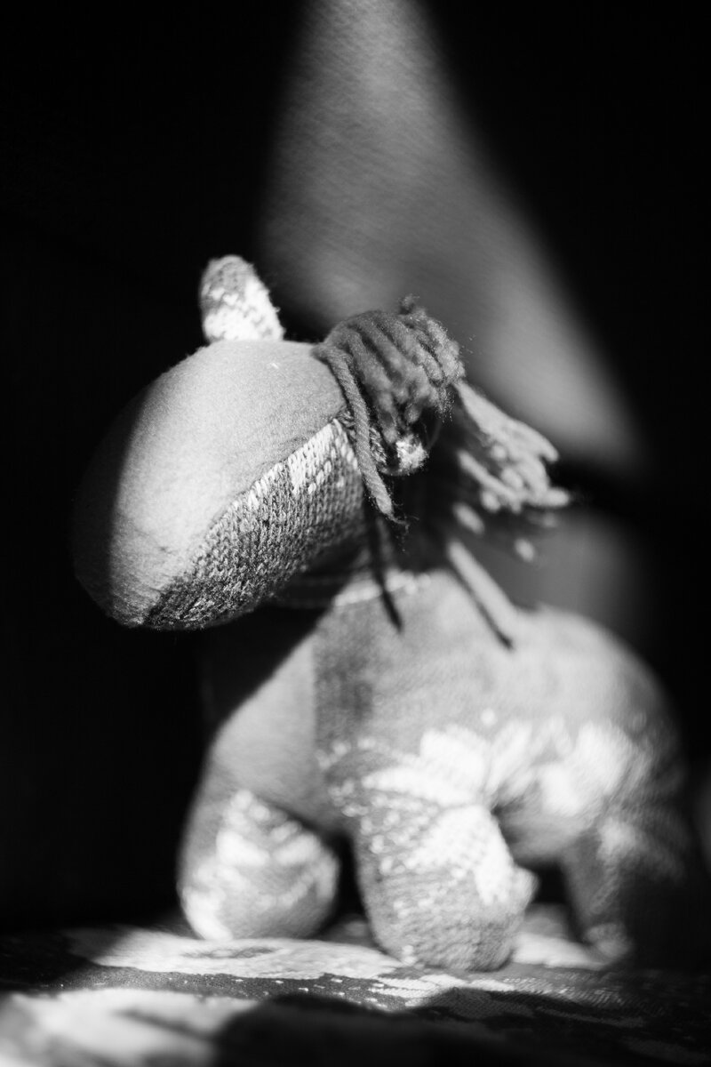 Canon EOS 1D Mark III + MC Zenitar-M2s 2/50. F2.0