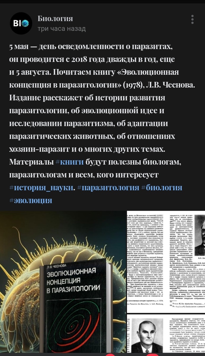 Да, ещё, интересный факт. Вовремя я начала паразитов проходить...