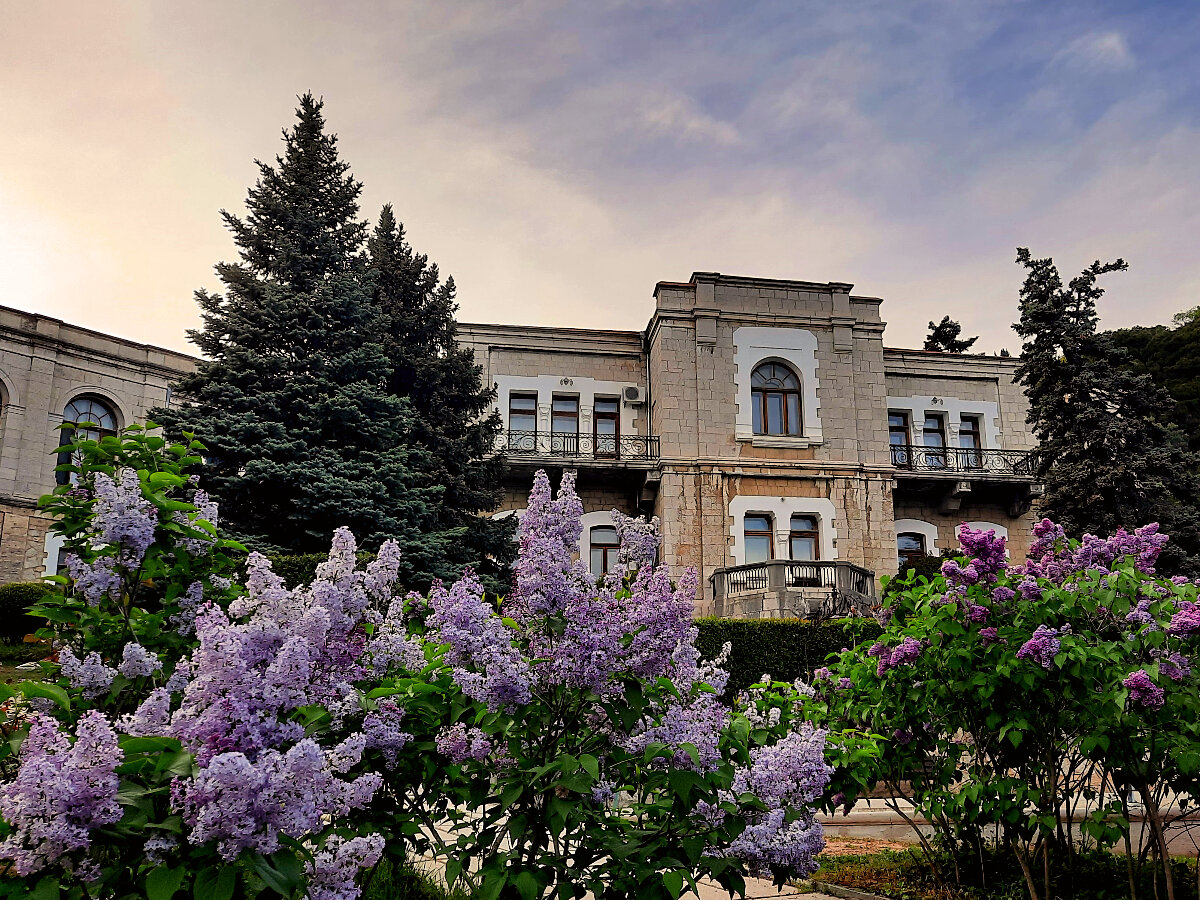 Сирень перед дворцом Юсуповых в Кореизе