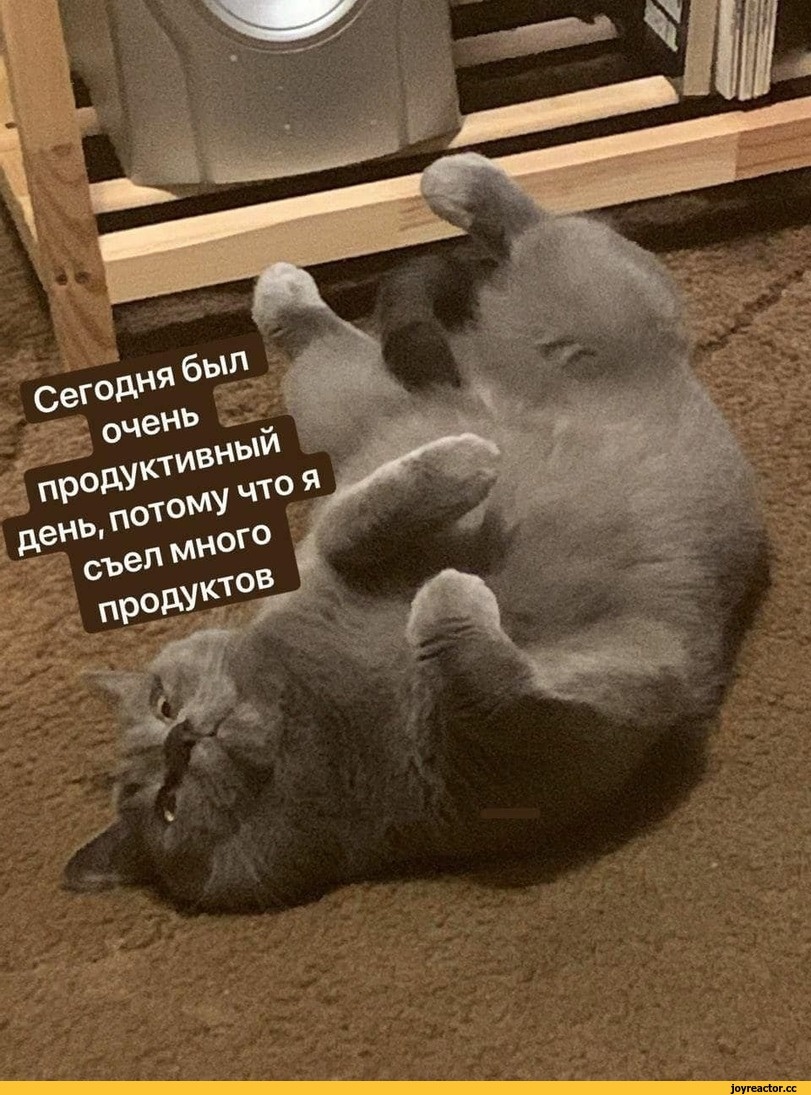 Картинка из открытых источников