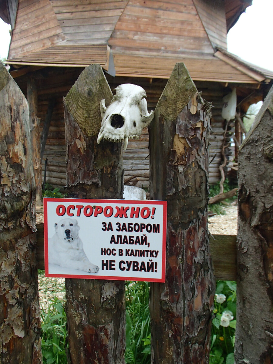 креатив)))