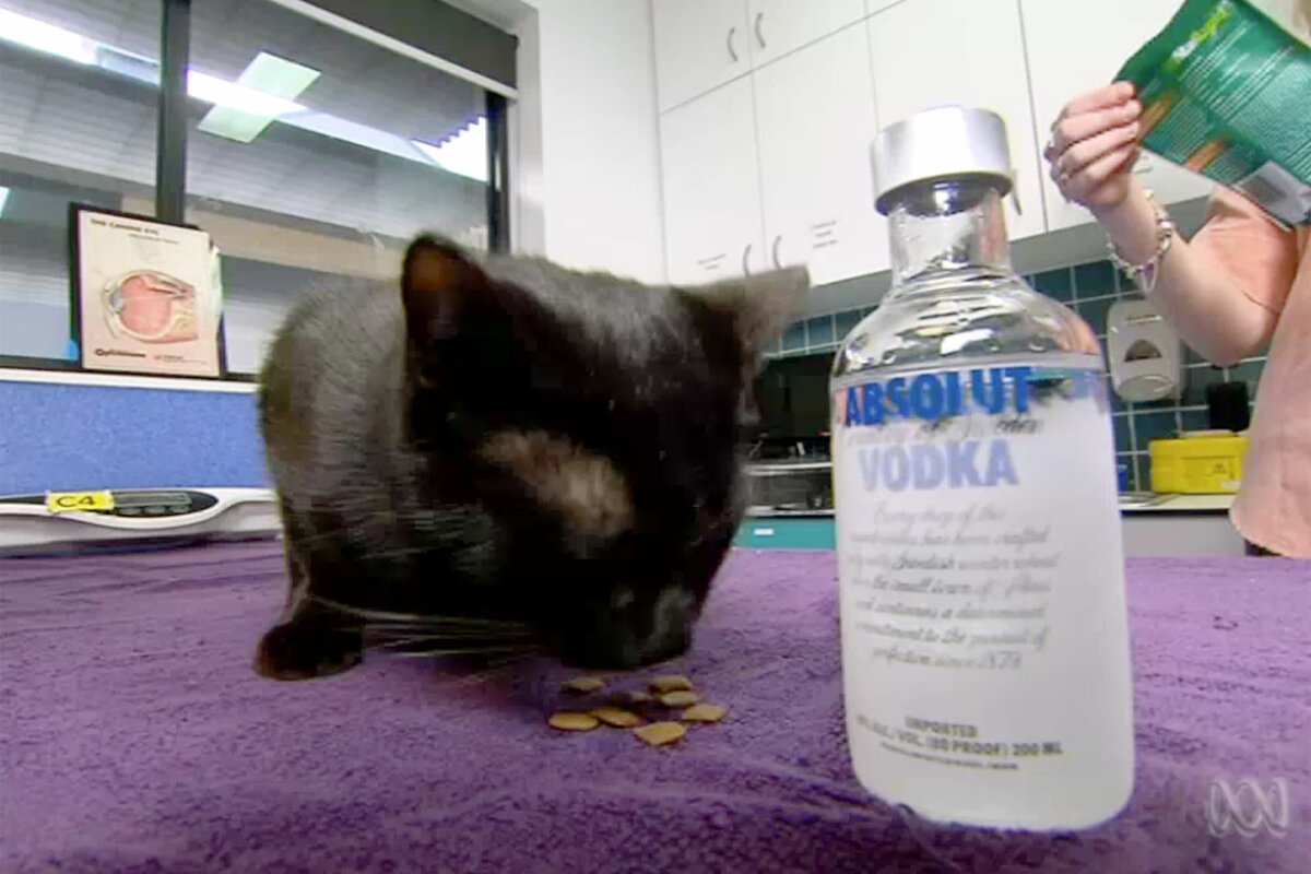 Герой статьи. Источник фото: https://mavink.com/post/3844F627E4B0DF70D8959FE9E9BED1F490AMCEC1C7