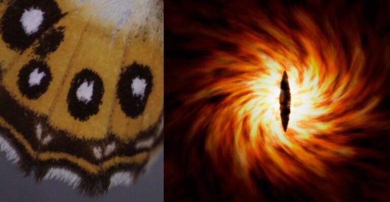    ©Cesare Andrea Ferrari/Shutterstock