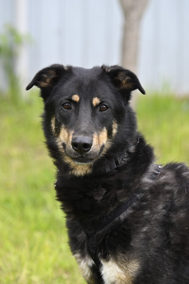 Фотосессия на передержке
