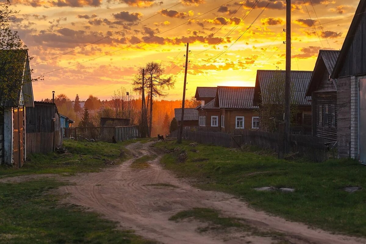 Красивые сельские виды