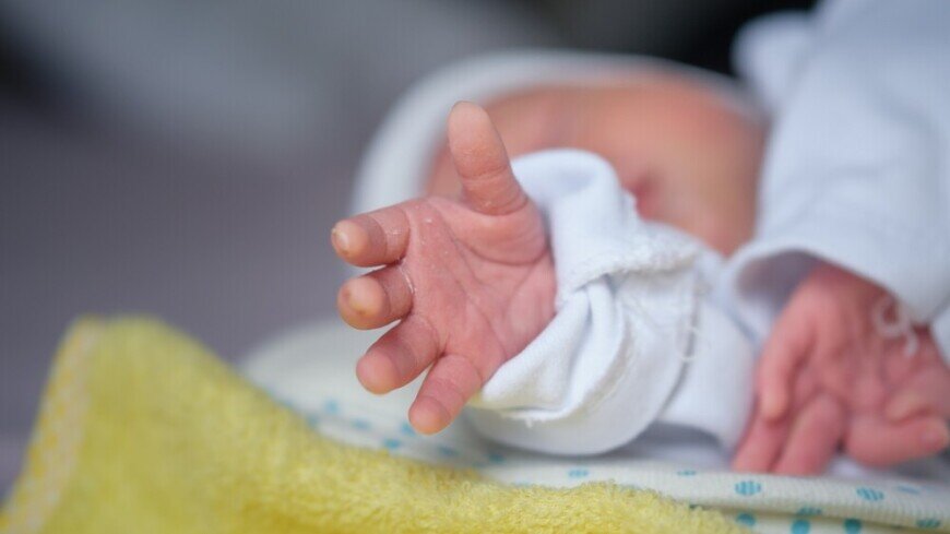 ФОТО : Shutterstock/FOTODOM