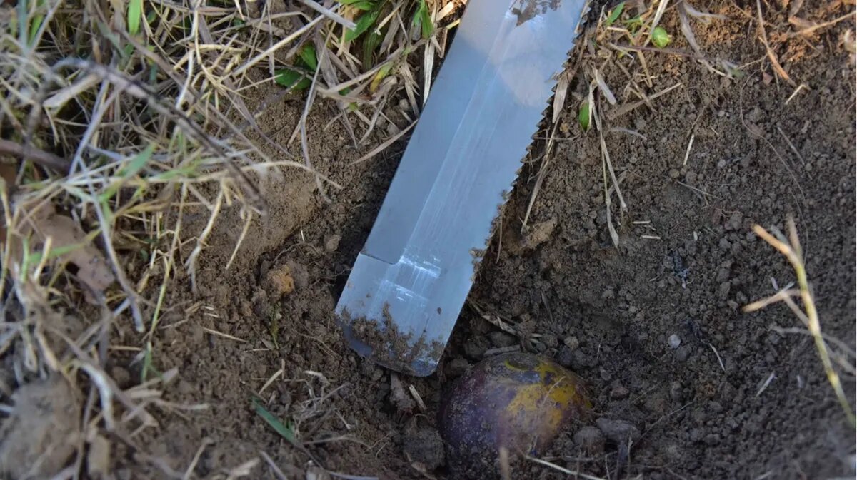 Военные сборы пройдут в 2023 году. Фото: Министерство обороны