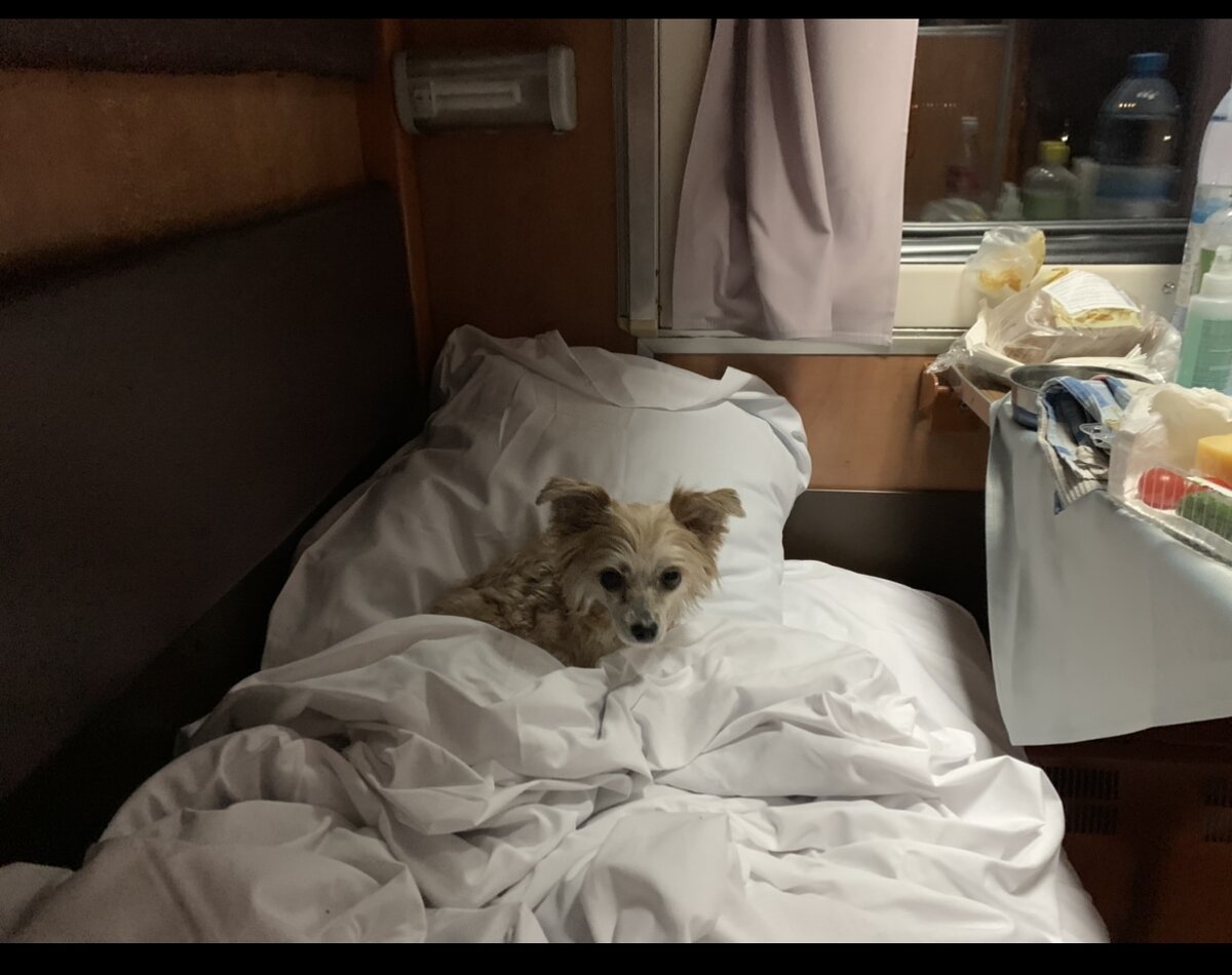 Феня заняла место в чистом белье