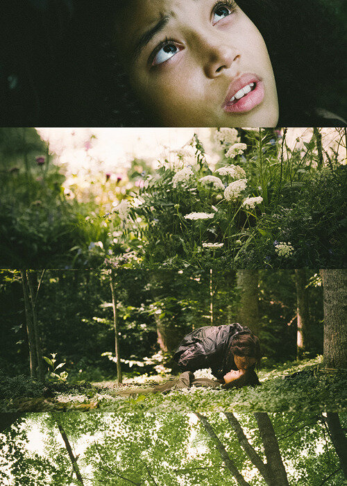 Китнисс прощается с Рут, х/ф "Голодные игры"