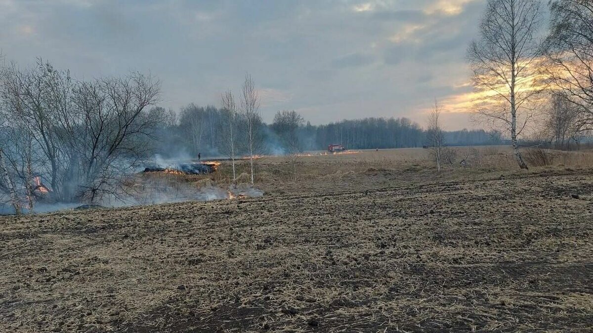     В десяти километрах от села Боково Викуловского района бушует ландшафтный пожар. В настоящее время к тушению огня привлечены сотрудники МЧС, подразделений Тюменской авиабазы Викуловского и Сорокинского районов.