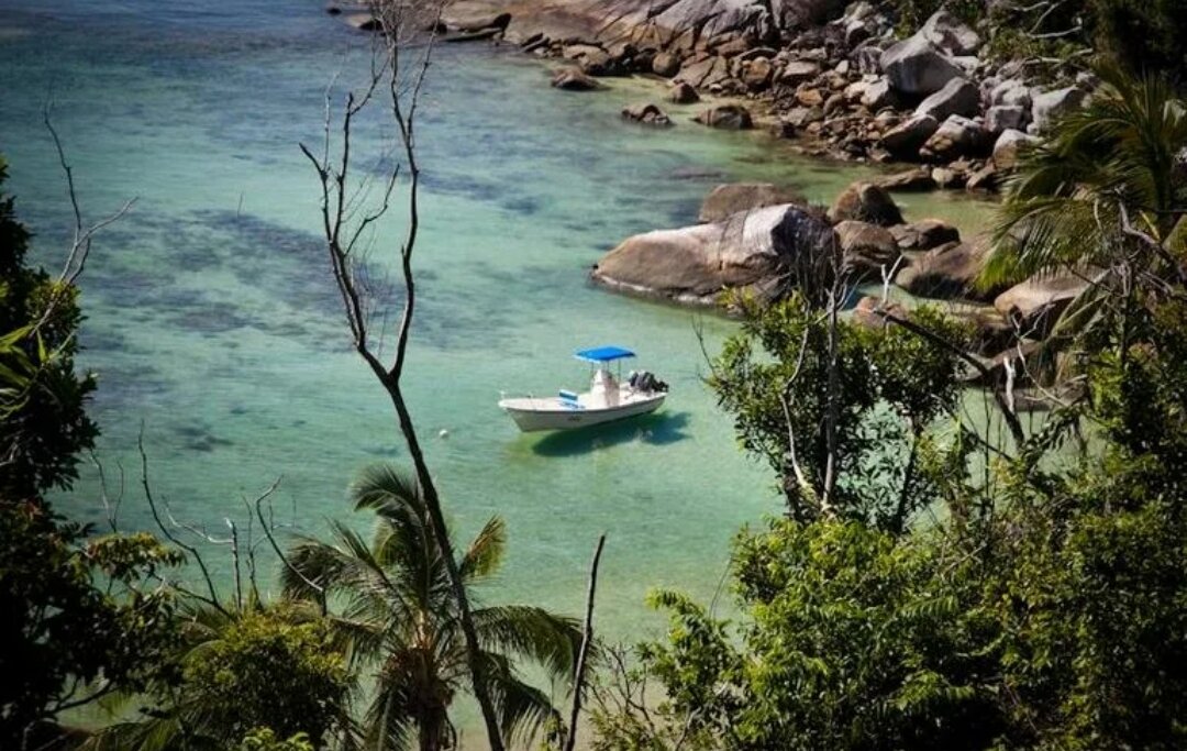 Смотритель тропического острова. Человек, претендующий на эту вакансию, должен уметь плавать, нырять под воду, управлять плавсредствами и, самое главное, интересно рассказывать об острове в интернет-блогах и на туристических сайтах. Это не такая уж и легкая, но зато прибыльная работа. Например, смотрителю острова Гамильтон в Австралии назначили зарплату в размере $154 000 за полгода. На вакансию претендовали 35 тысяч человек из 200 стран мира. Довольно таки не плохо не правда ли? 