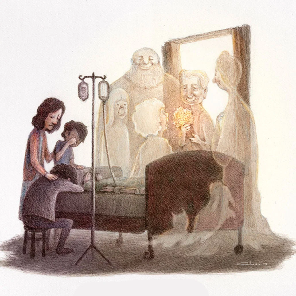 Фото из открытых источников интернета