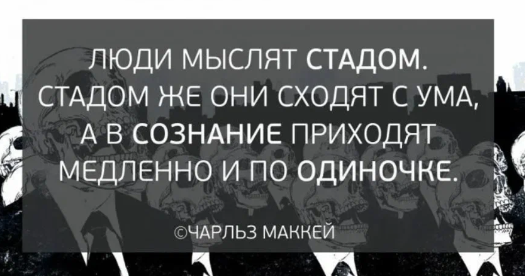 Общественное высказывание. Цитаты про стадо. Цитаты про стадо людей. Цитаты про толпу. Высказывания о толпе.