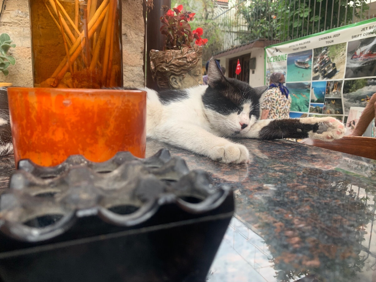 Примерно так выглядит мой начальник, только ещё и сложен как Аполлон.