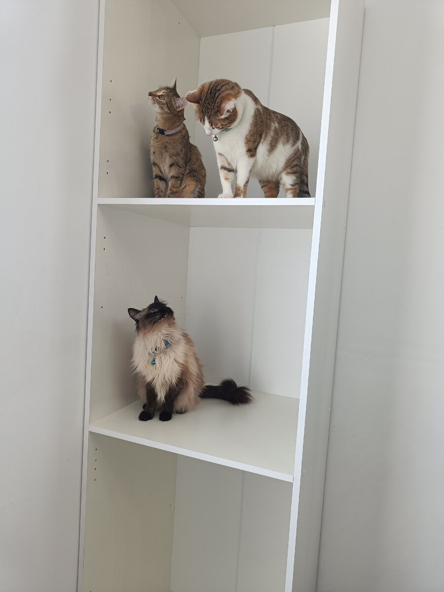 Наш ТриКотаЖ