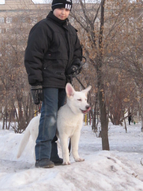 Байкал, март 2011 года.