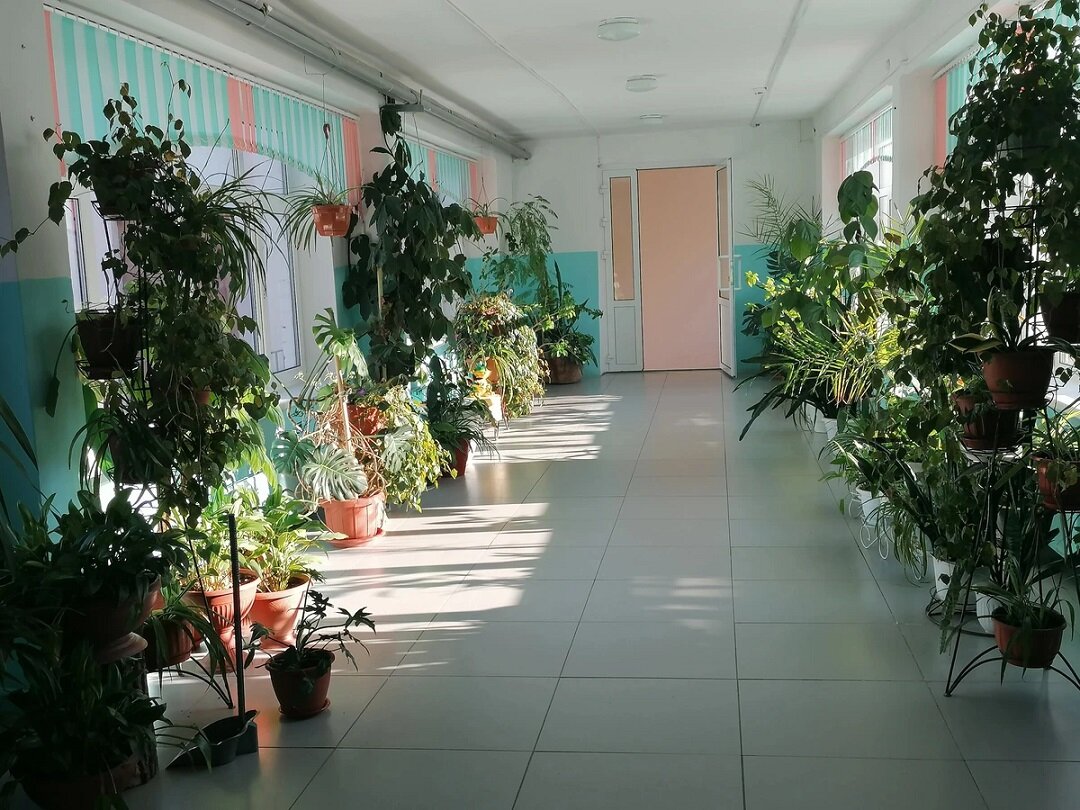 Скоро школа будет выглядеть вот так пустынно