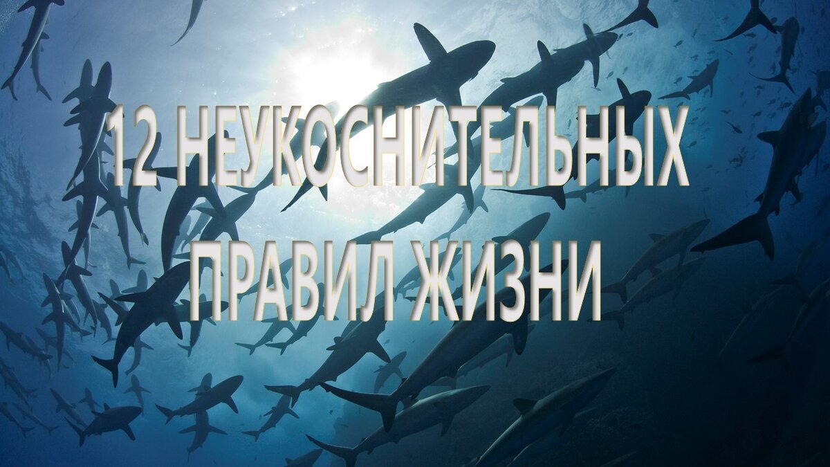Фотоколлаж мой личный