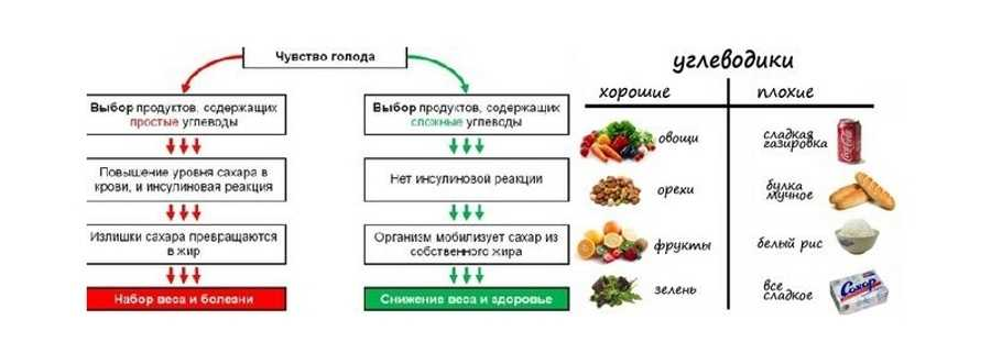 В какие продукты могут превращаться. Углеводы простые сложные пищевые волокна. Углеводы продукты схема. Пища содержащая углеводы список продуктов. Углеводы список продуктов таблица.