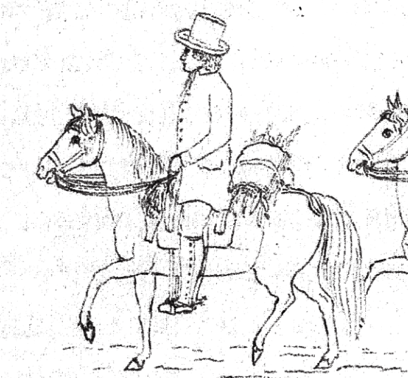 Фридрих Зелло, по фамилии которого известная нам фейхоа получила видовой латинский эпитет sellowiana. Автор рисунка — князь Максимилиан Вид-Нойвид, путешествовавший по Бразилии вместе с Зелло