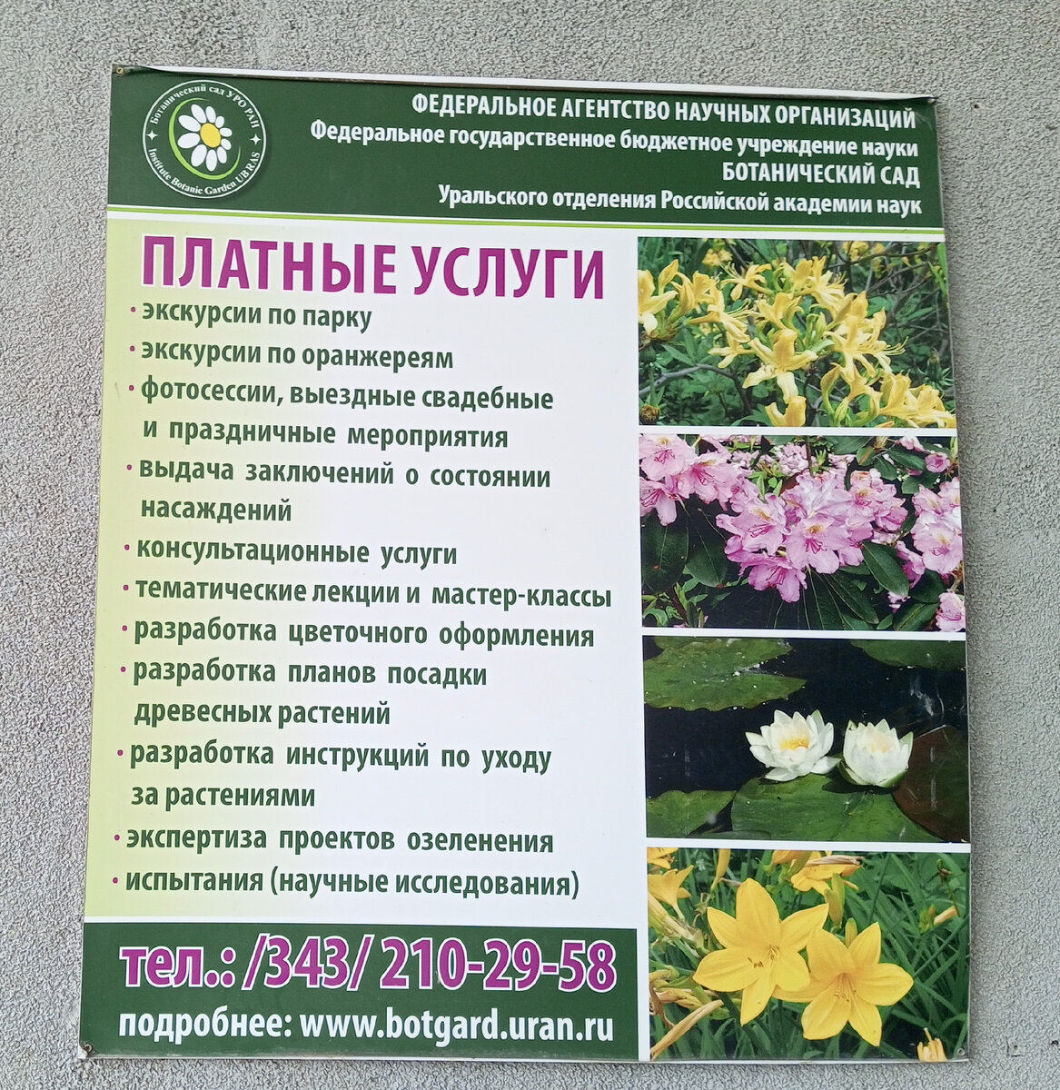 На улице жара 30 градусов, а в Ботаническом саду прохлада и опьяняющие  ароматы | Тонкости финансовой грамотности | Дзен