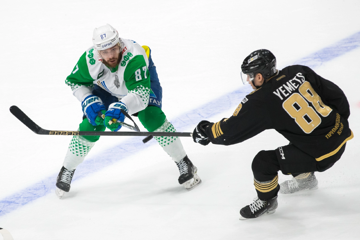 Профессиональные хоккеисты мастерски владеют всеми видами катания