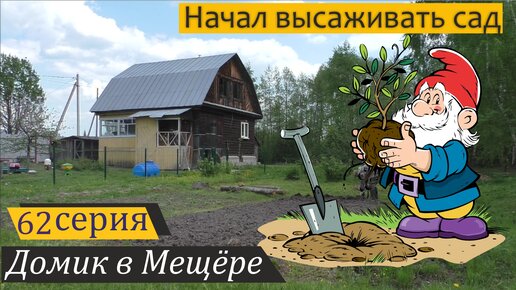 Поднял целину и посадил саженцы. Домик в Мещёре, серия 62