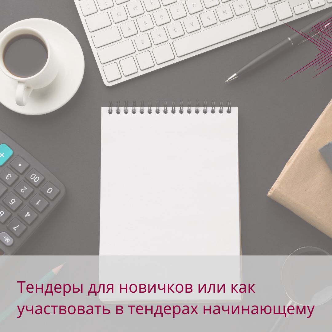 Тендеры для новичков или как участвовать в тендерах начинающему? |  Тренинговый Центр Галины Смирновой | Дзен