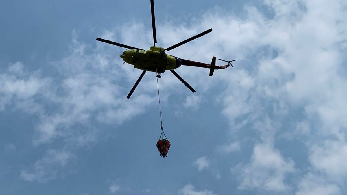     Двенадцать лесных пожаров, из которых шесть локализованы, действуют на территории Тюменской области.