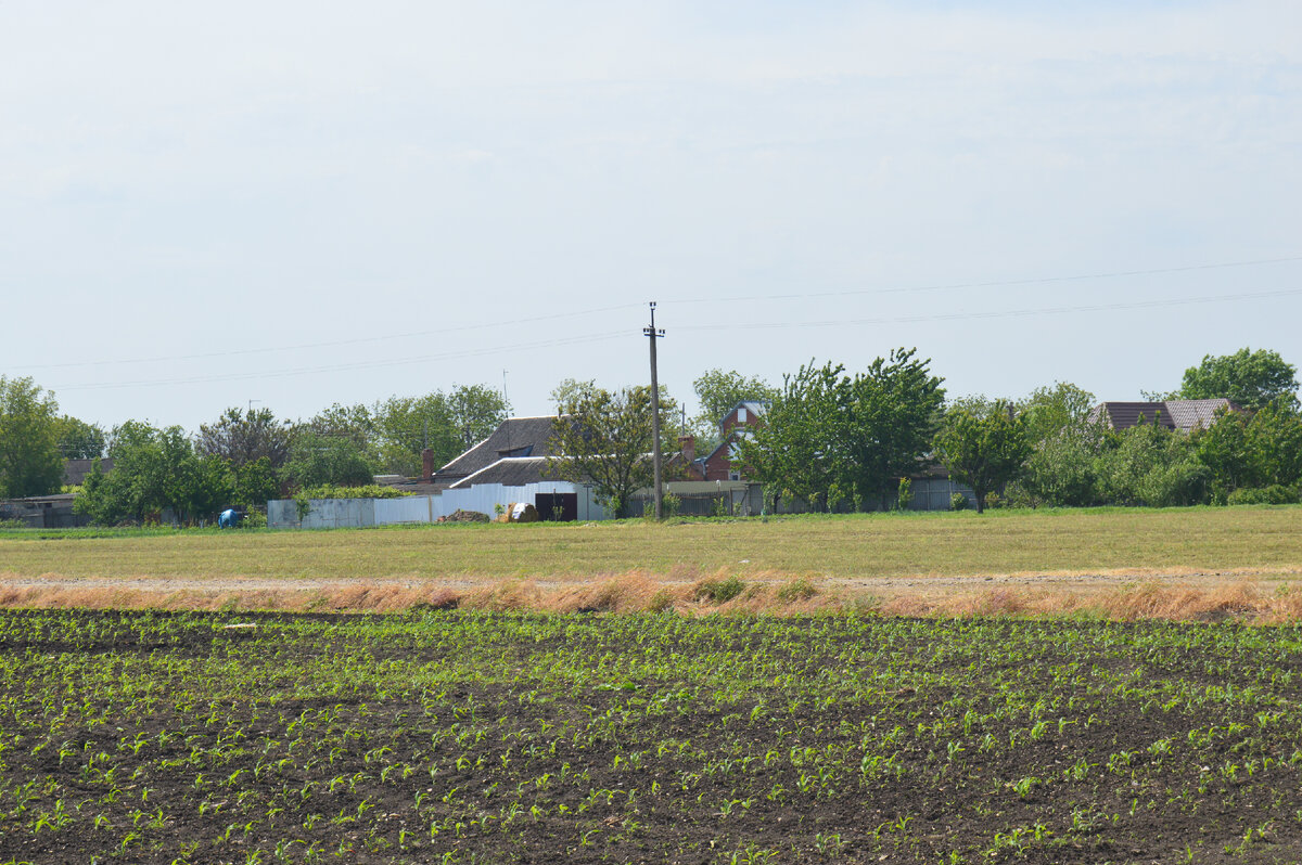 Фото автора.  Май 2023. Хутор, о котором рассказывает автор. Поле на котором работали "Капа" и Порфирьевич.