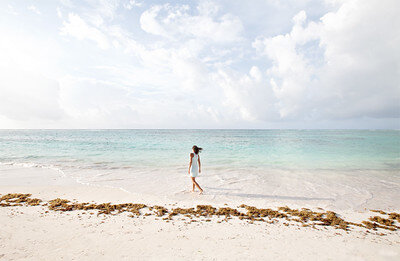 Красота моря