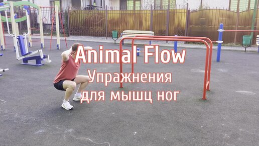 Animal Flow упражнения