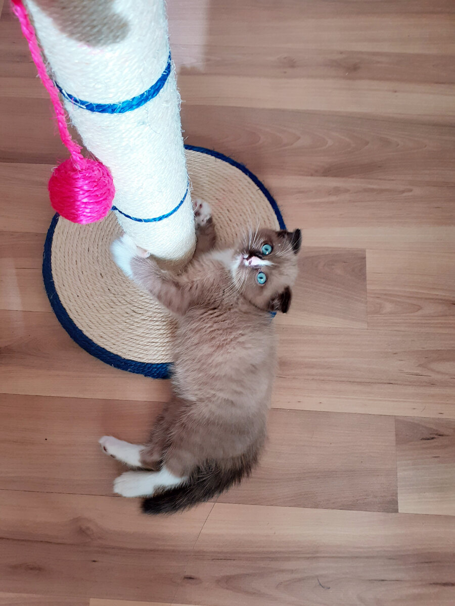 Марсианин мой)))) Максюнька..