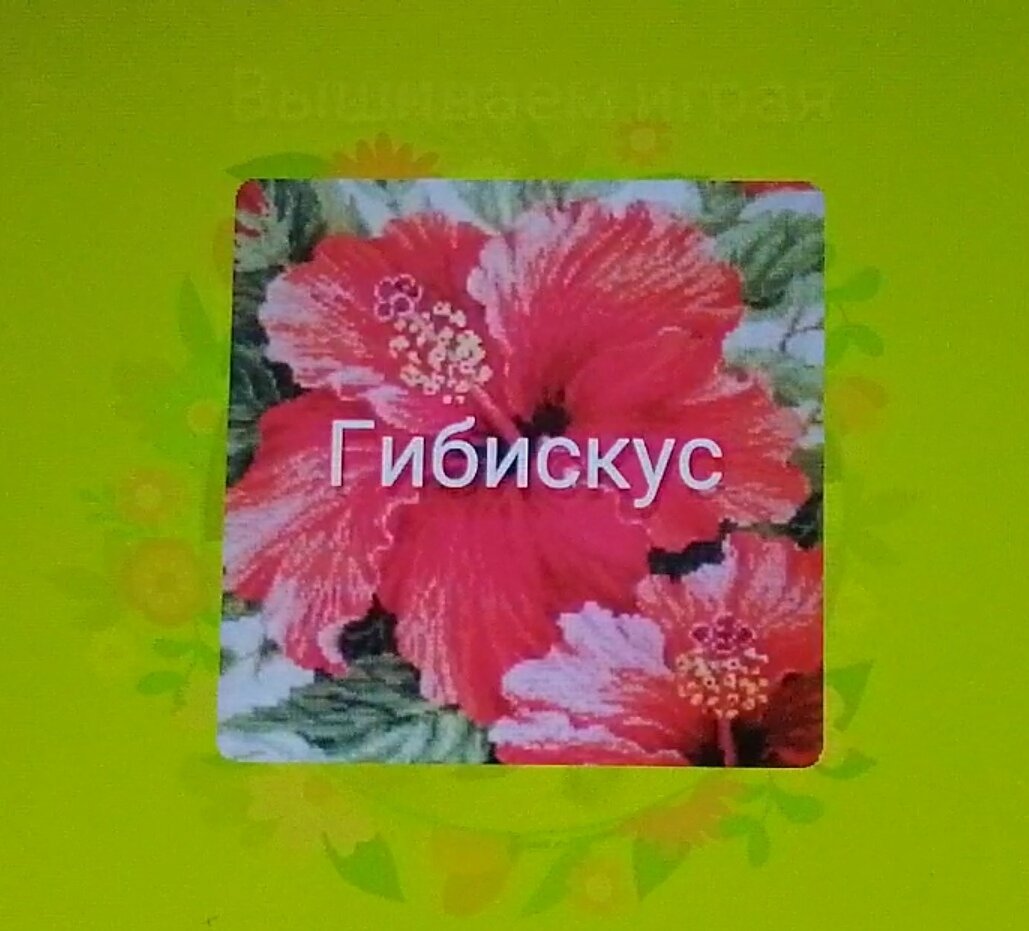 Выбор рулетки