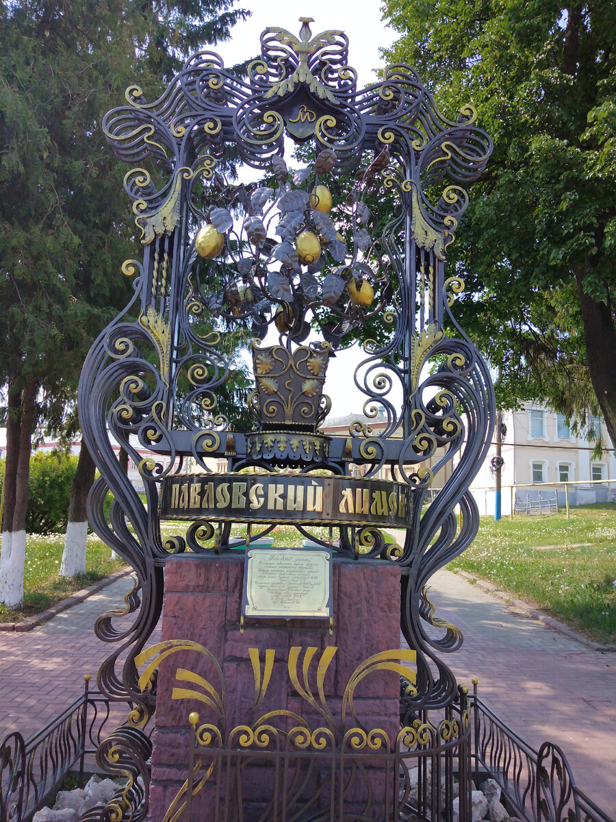 Фото автора.