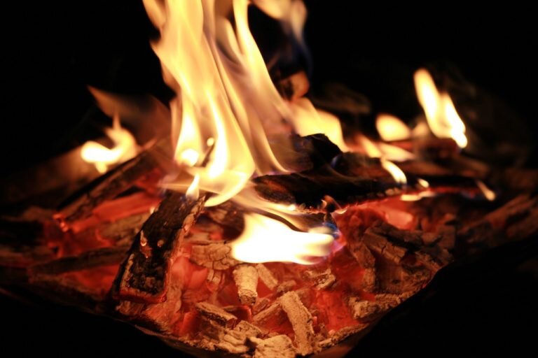    В Оренбурге 10-летний мальчик получил 30% ожогов тела разжигая мангал Белов Михаил Александрович