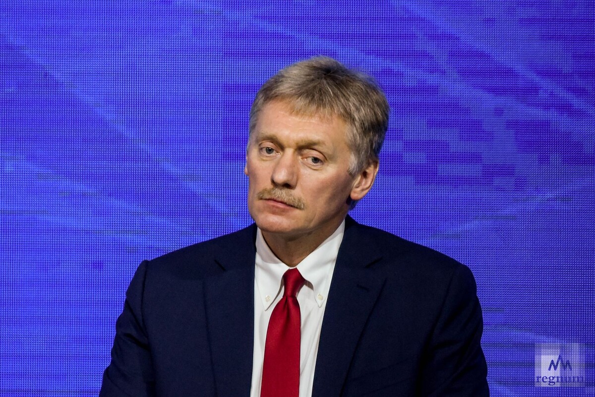    Дмитрий Песков Дарья Антонова © ИА REGNUM