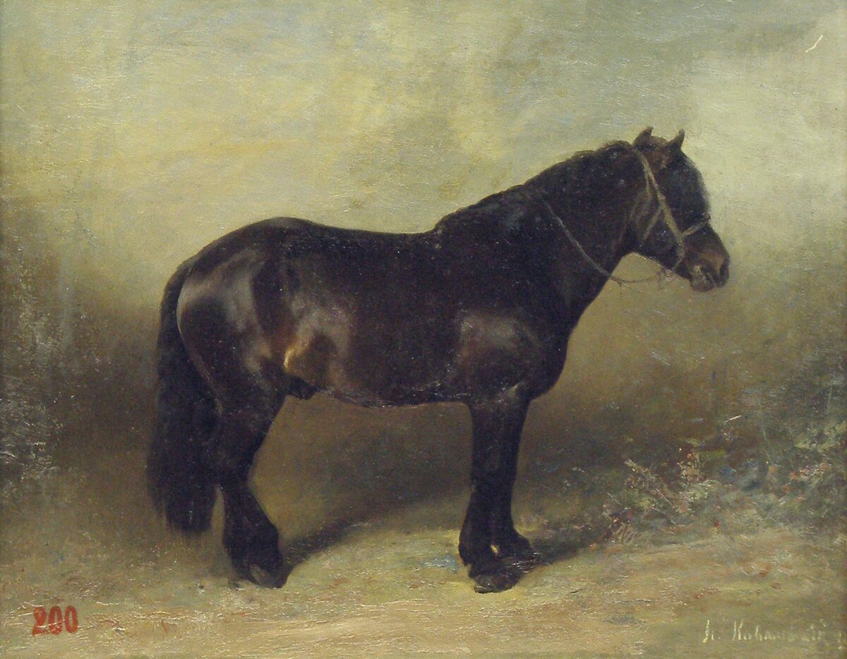 П.О. Ковалевский. Битюг. 1879. Холст, масло. Вологодская областная картинная галерея
