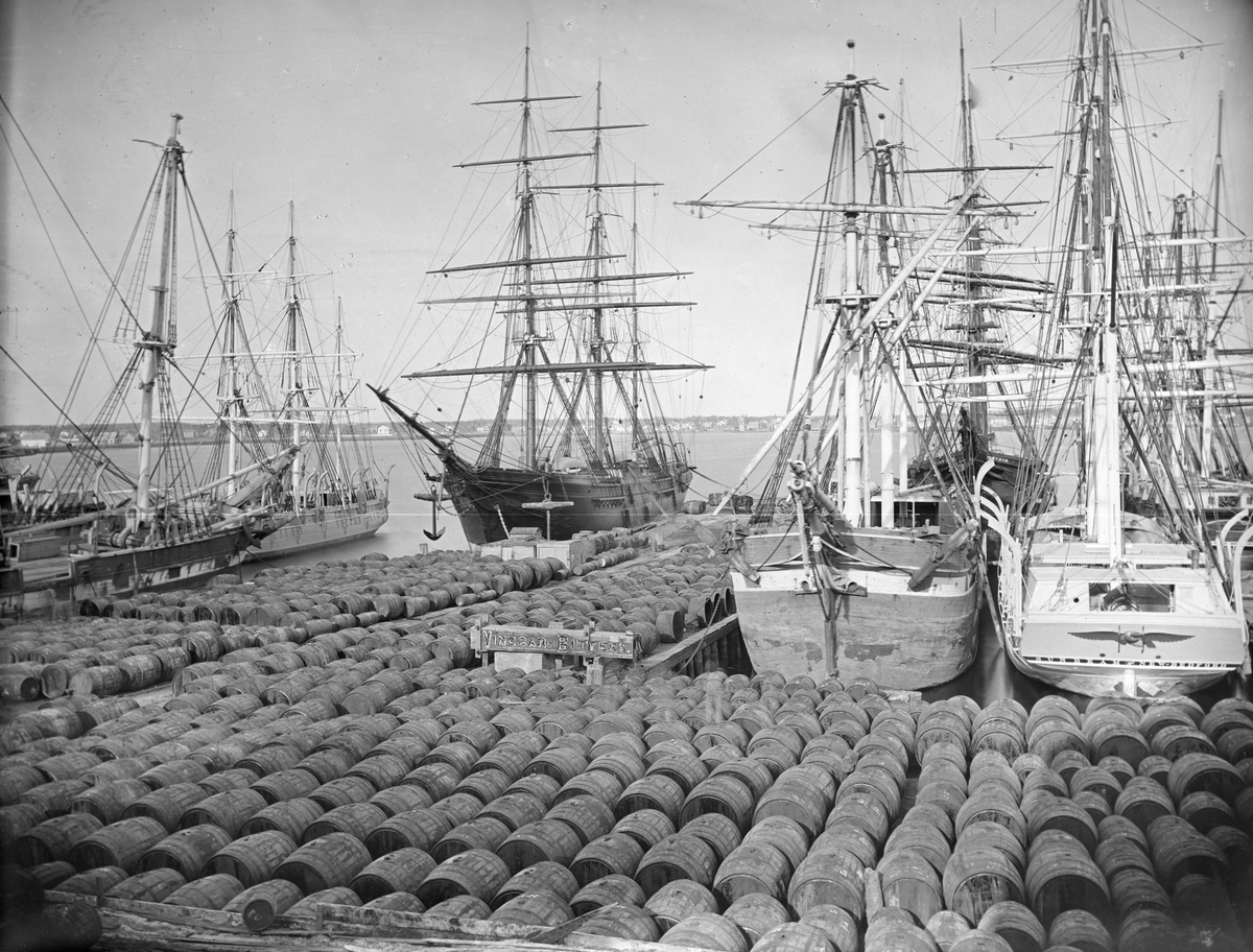 Китобойные суда. Фото с сайта mavink.com