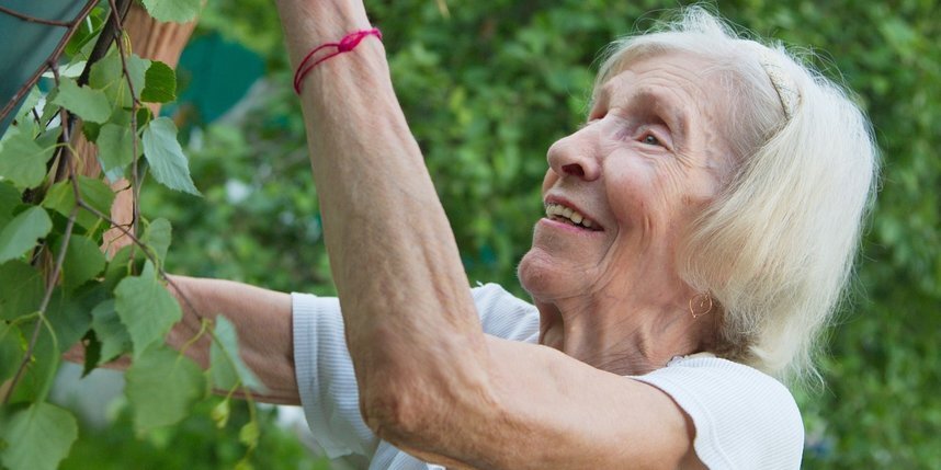    Бабушки просто обожают работать в саду.Pixabay