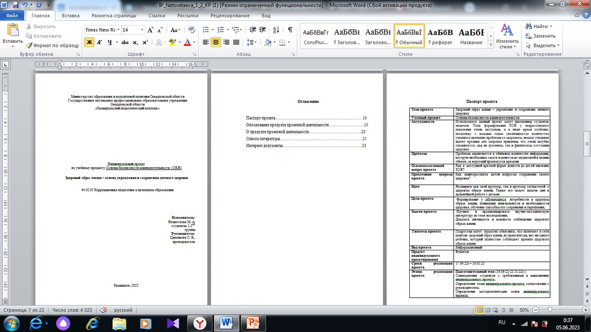 Паспорт проекта 