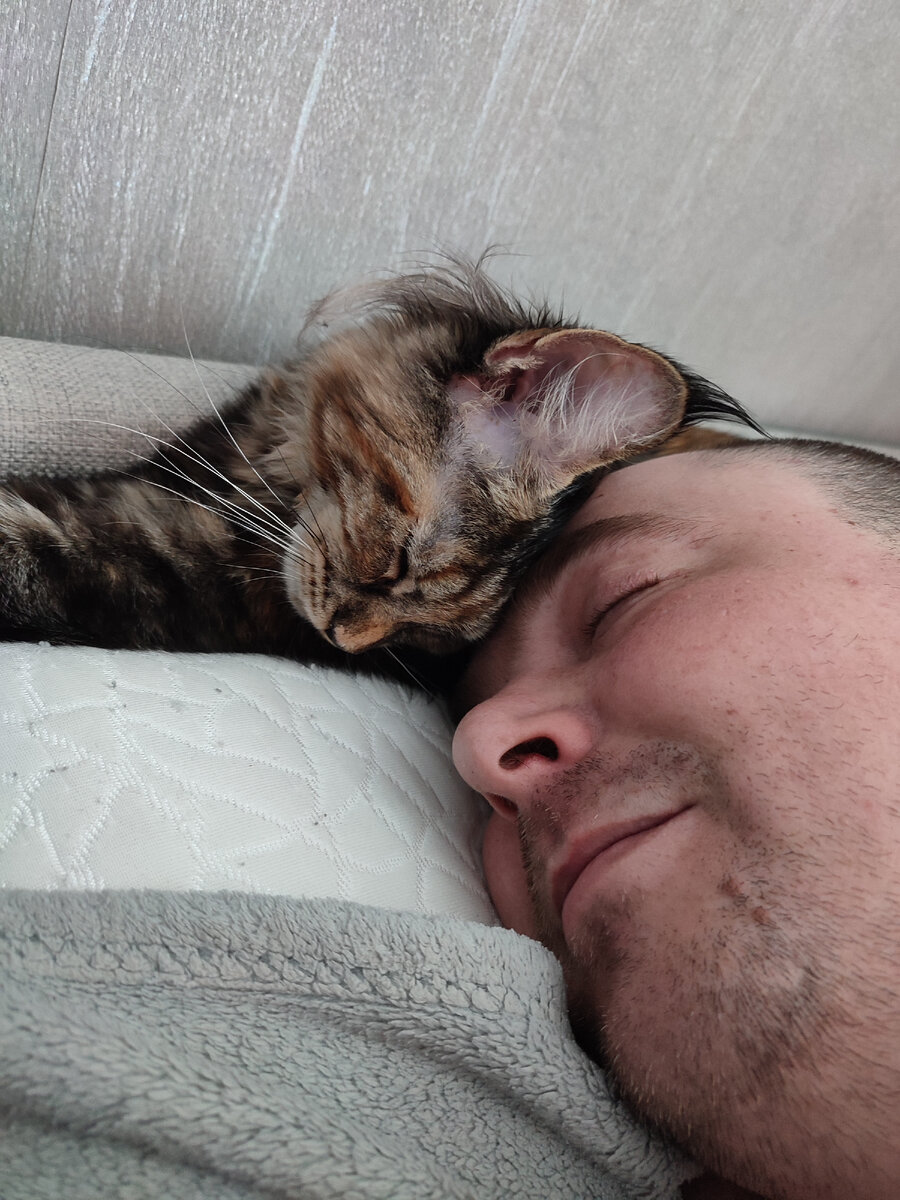 Делят одну подушку) 