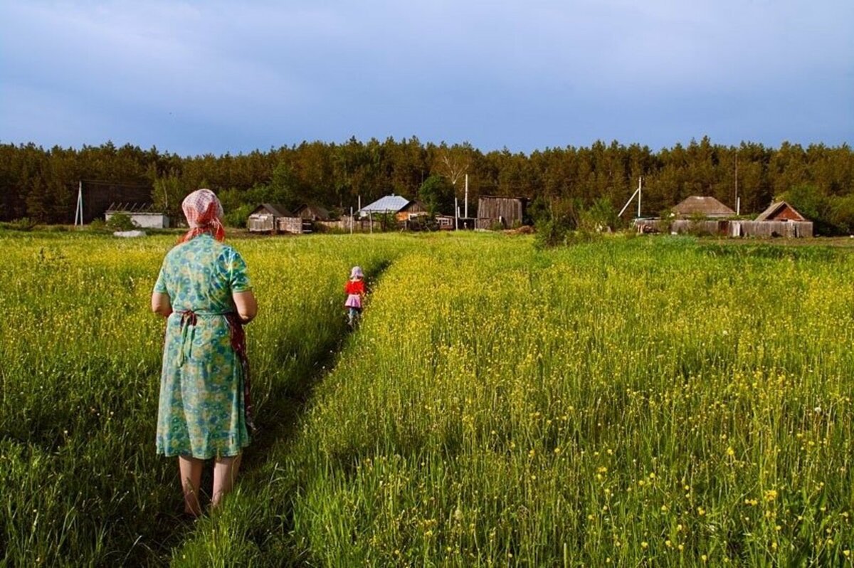 в деревне у бабули лежу на раскладушке