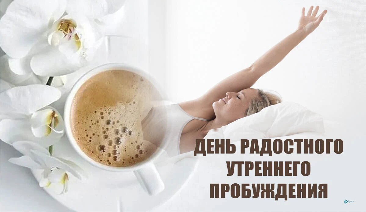 День радостного утреннего пробуждения. Иллюстрация: «Курьер.Среда»