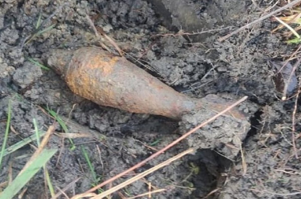    Фото для иллюстрации.